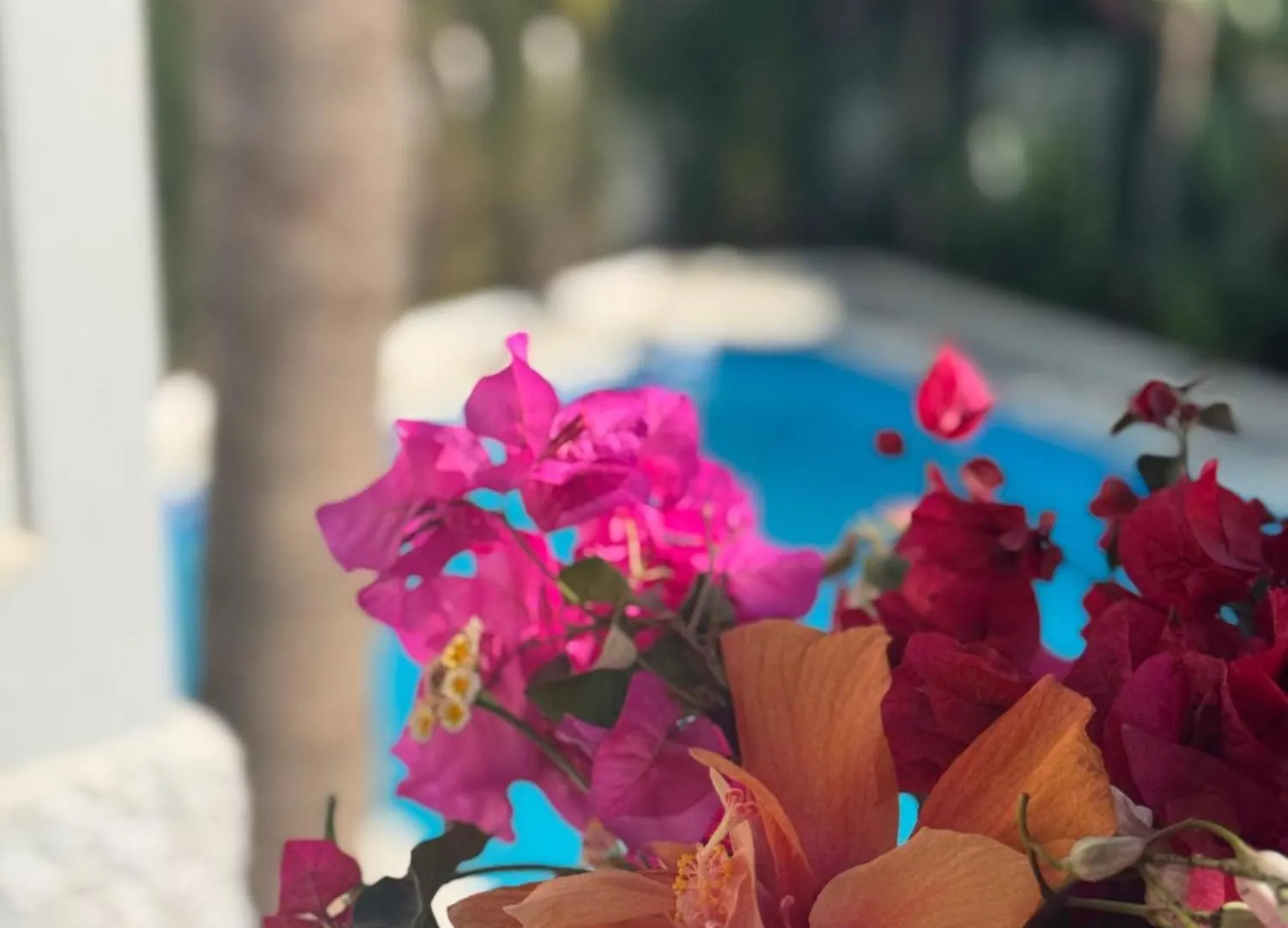 Villa Nerja 0*,  Spain